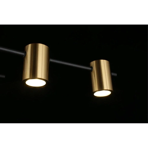 Люстра потолочная Aployt Elwisia APL.633.07.10 Люстра потолочная Aployt Elwisia APL.633.07.10