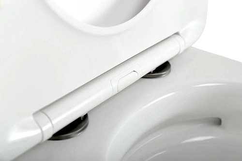 Унитаз подвесной CEZARES STYLUS-TOR CZR-6601-TH-TOR/SC безободковый с сиденьем и смывом TORNADO Унитаз подвесной CEZARES STYLUS-TOR CZR-6601-TH-TOR/SC безободковый с сиденьем и смывом TORNADO