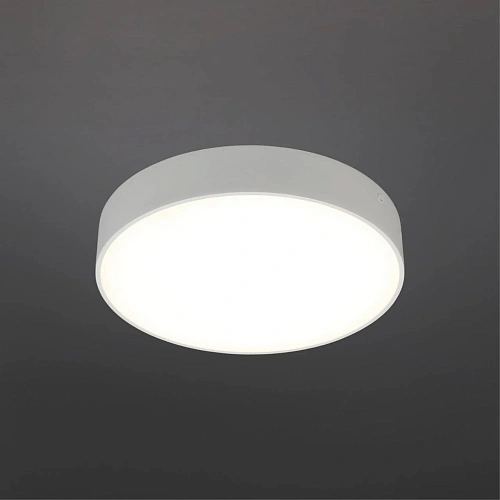 Светильник настенно-потолочный Aployt Evon APL.0114.09.24 Светильник настенно-потолочный Aployt Evon APL.0114.09.24