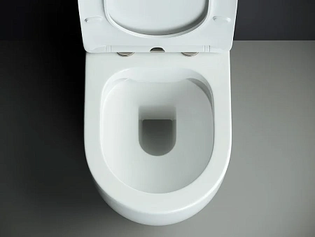 Чаша напольного унитаза Ceramica Nova MIA Rimless CN1801-B белый с сиденьем Чаша напольного унитаза Ceramica Nova MIA Rimless CN1801-B белый с сиденьем