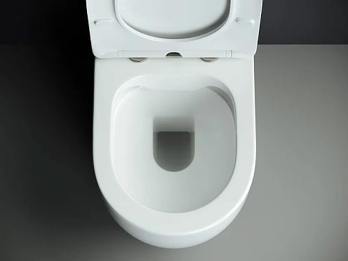 Чаша напольного унитаза Ceramica Nova MIA Rimless CN1801-B белый с сиденьем Чаша напольного унитаза Ceramica Nova MIA Rimless CN1801-B белый с сиденьем