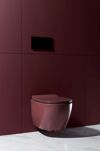 Унитаз подвесной Allen Brau Fantasy 4.11004.BD с крышкой, бордо Унитаз подвесной Allen Brau Fantasy 4.11004.BD с крышкой, бордо
