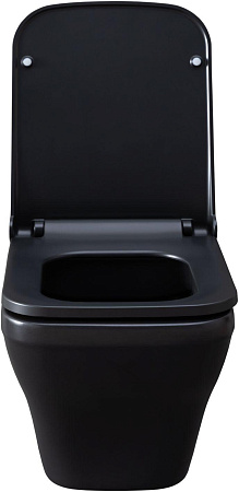 Унитаз подвесной Allen Brau Infinity 4.21011.31 с крышкой, черный матовый