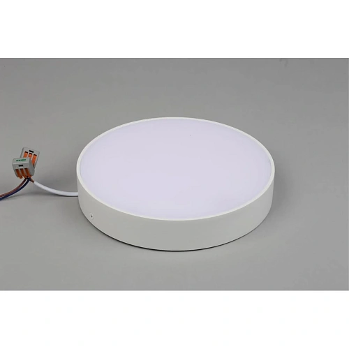 Светильник настенно-потолочный Aployt Evon APL.0114.09.24 Светильник настенно-потолочный Aployt Evon APL.0114.09.24