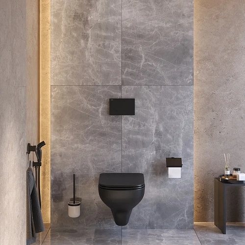 Унитаз подвесной AM.PM X-Joy CK85GI с сиденьем в комплекте с аксессуарами Унитаз подвесной AM.PM X-Joy CK85GI с сиденьем в комплекте с аксессуарами