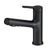 Картинка анонса товара «смеситель для раковины am.pm x-joy f85b02922 с вытяжным изливом, черный»