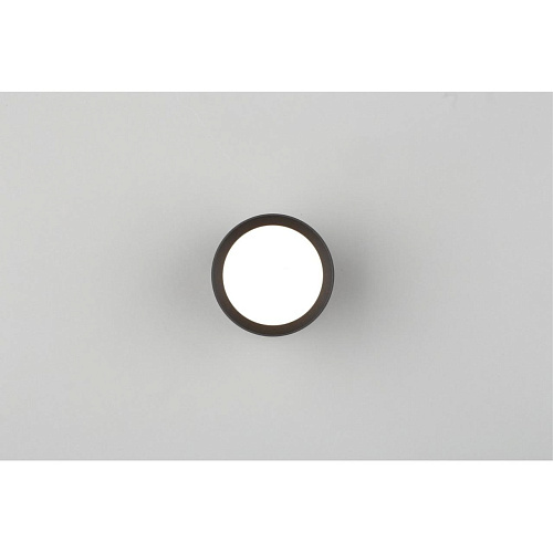 Светильник настенно-потолочный Omnilux Capurso OML-102439-05 Светильник настенно-потолочный Omnilux Capurso OML-102439-05