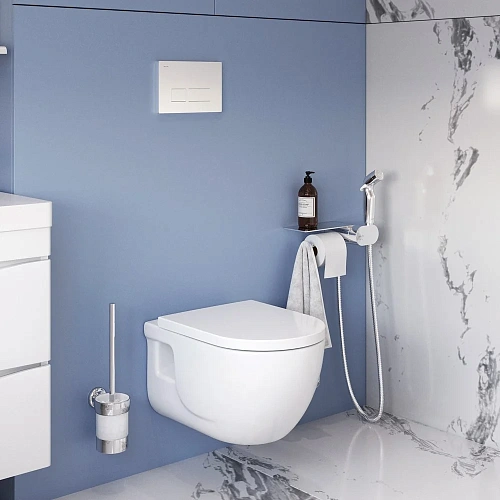 Унитаз подвесной AM.PM Like CK80H0103W с сиденьем в наборе с гигиеническим душем Унитаз подвесной AM.PM Like CK80H0103W с сиденьем в наборе с гигиеническим душем