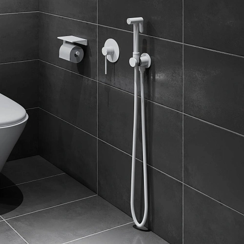 Гигиенический душ Timo Saona 2389/16SM белый матовый Гигиенический душ Timo Saona 2389/16SM белый матовый