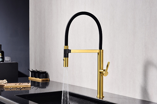 Смеситель для кухни Paulmark Leader брашированное золото Le214101-BG Смеситель для кухни Paulmark Leader брашированное золото Le214101-BG