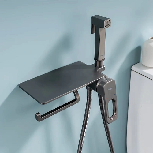 Гигиенический душ Raglo R51.55.09 встраиваемый с полкой и держателем бумаги, графит Гигиенический душ Raglo R51.55.09 встраиваемый с полкой и держателем бумаги, графит