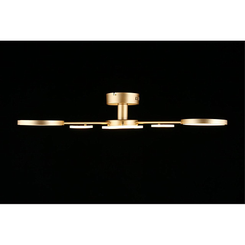 Люстра потолочная Aployt Didian APL.015.07.33 Люстра потолочная Aployt Didian APL.015.07.33