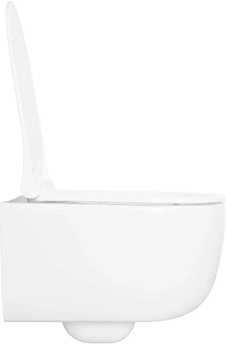 Комплект унитаза Allen Brau Priority 4.31002.20/8.9466.0.000.000.1 (00316509) с инсталляцией, белый глянец Комплект унитаза Allen Brau Priority 4.31002.20/8.9466.0.000.000.1 (00316509) с инсталляцией, белый глянец