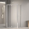 Душевой уголок RGW PA-32-1 (PA-02 + Z-060-1) 1000x1000 мм 410832100-011 хром Easy Clean