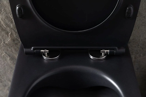 Унитаз подвесной Allen Brau Reality 4.32006.31 с крышкой, черный матовый Унитаз подвесной Allen Brau Reality 4.32006.31 с крышкой, черный матовый