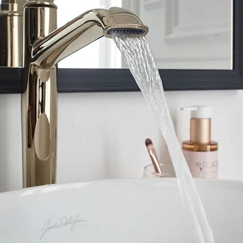 Смеситель для раковины Jacob Delafon Cleo 1889 E24309-BGG Смеситель для раковины Jacob Delafon Cleo 1889 E24309-BGG