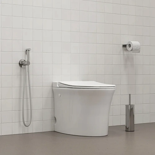 Гигиенический душ IDDIS 005BCR0i08 матовый хром Гигиенический душ IDDIS 005BCR0i08 матовый хром