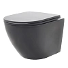 Унитаз подвесной AQUAme AQM2002MB с сиденьем SoftClose, технология смыва Rimless, скрытый крепеж чер Унитаз подвесной AQUAme AQM2002MB с сиденьем SoftClose, технология смыва Rimless, скрытый крепеж чер