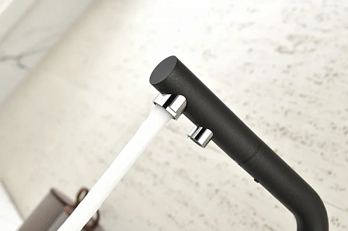 Смеситель для кухни Paulmark SERPENTINE черный Se213222-BLM Смеситель для кухни Paulmark SERPENTINE черный Se213222-BLM