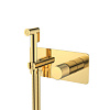 Картинка анонса товара «гигиенический душ boheme stick stick gold spirale 127-gg.4»