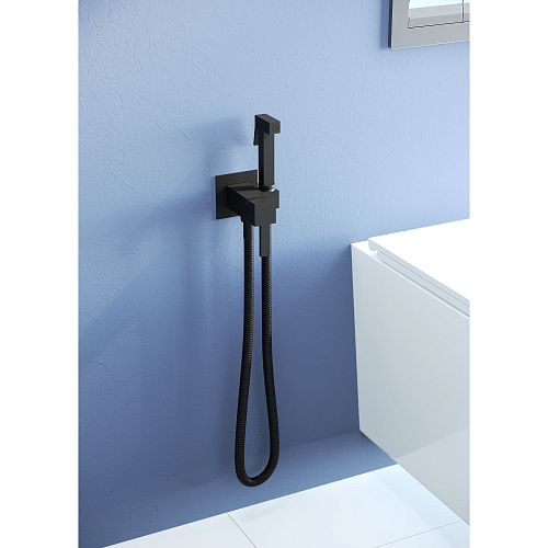 Гигиенический душ RGW Shower Panels SP-212B черный Гигиенический душ RGW Shower Panels SP-212B черный