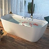 Акриловая ванна Aquatek AQ-197778 АМАДЕО 1700 x 780 x 650 отдельностоящая, белая Акриловая ванна Aquatek AQ-197778 АМАДЕО 1700 x 780 x 650 отдельностоящая, белая