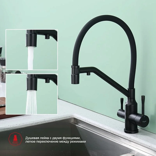 Смеситель для кухни Raglo R81.62.06 с гибким изливом с подключением к фильтру, черный Смеситель для кухни Raglo R81.62.06 с гибким изливом с подключением к фильтру, черный