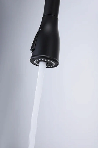 Смеситель для кухни Paulmark LANGE антрацит La214212-AN Смеситель для кухни Paulmark LANGE антрацит La214212-AN