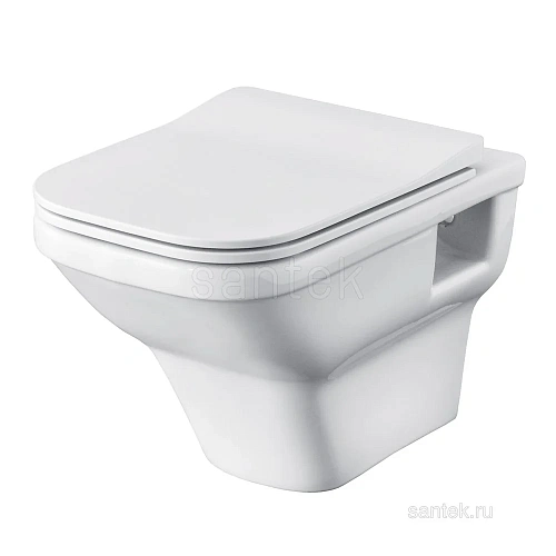 Комплект унитаза Santek Лайн 1WH501729 с инсталляцей, сиденье Slim, SoftCloseи клавишей смыва хром 1.WH50.1.729 Комплект унитаза Santek Лайн 1WH501729 с инсталляцей, сиденье Slim, SoftCloseи клавишей смыва хром 1.WH50.1.729