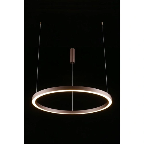 Люстра подвесная Aployt Nisia APL.025.03.60 Люстра подвесная Aployt Nisia APL.025.03.60