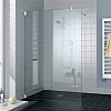 Картинка анонса товара «душевая перегородка kermi walk-in filia fi twf/g (900 mm) fi twf/g 09020 vpk»