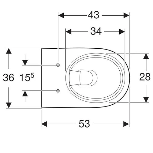 Унитаз подвесной Geberit Renova Premium безободковый 203070000 Унитаз подвесной Geberit Renova Premium безободковый 203070000