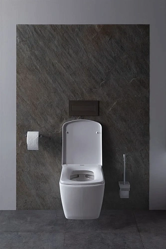 Унитаз подвесной Allen Brau Liberty 4.33004.20 без сиденья Унитаз подвесной Allen Brau Liberty 4.33004.20 без сиденья