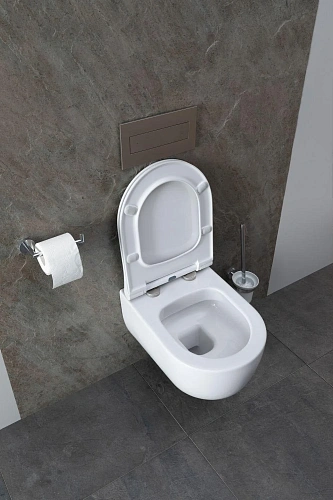 Комплект унитаза Allen Brau Priority 4.31002.20/8.9466.0.000.000.1 (00316509) с инсталляцией, белый глянец Комплект унитаза Allen Brau Priority 4.31002.20/8.9466.0.000.000.1 (00316509) с инсталляцией, белый глянец