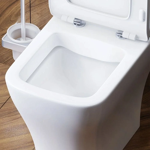 Унитаз напольный Damixa Titan DX78C8600SC безободковый с сиденьем микролифт Унитаз напольный Damixa Titan DX78C8600SC безободковый с сиденьем микролифт