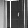 Душевая дверь AQUAme AQM4201F-12 1200x1950мм стекло 8мм, цвет профиля хром Душевая дверь AQUAme AQM4201F-12 1200x1950мм стекло 8мм, цвет профиля хром