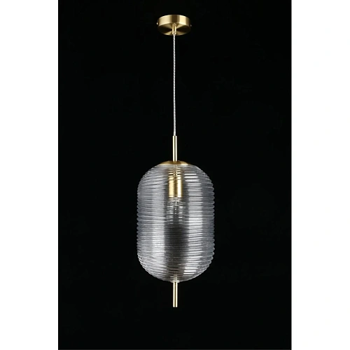 Светильник подвесной Aployt Mattia APL.316.16.01 Светильник подвесной Aployt Mattia APL.316.16.01