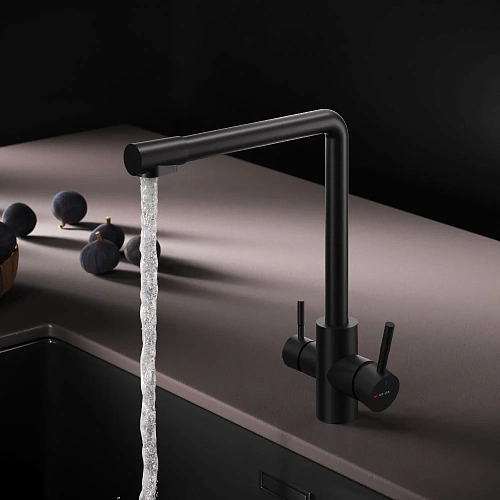 Смеситель для кухни AM.PM X-Joy S F85B05722 с каналом для питьевой воды, черный Смеситель для кухни AM.PM X-Joy S F85B05722 с каналом для питьевой воды, черный