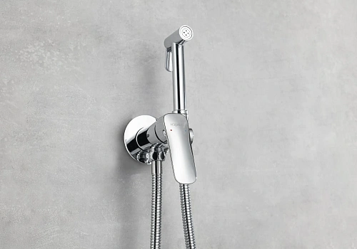 Гигиенический душ Aquatek ВЕГА AQ1019CR хром Гигиенический душ Aquatek ВЕГА AQ1019CR хром