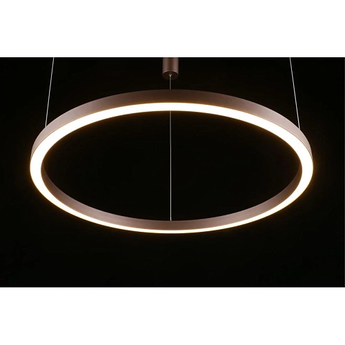 Люстра подвесная Aployt Nisia APL.025.03.60 Люстра подвесная Aployt Nisia APL.025.03.60