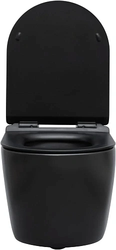 Унитаз подвесной Aquanet Rimless Cetus-BW BL-102N-WHT CETUS-BW с сиденьем Унитаз подвесной Aquanet Rimless Cetus-BW BL-102N-WHT CETUS-BW с сиденьем