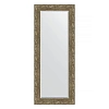 Зеркало в багетной раме Evoform Exclusive BY 3515 55 x 135 см, виньетка античная латунь