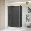 Душевой уголок RGW CL-133 (CL-13 + Z-03) 1200x800 мм 060913328-31