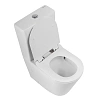Унитаз напольный BelBagno FLAY-TOR BB2149CP-TOR/BB2149T/BB2111SC безободковый с сиденьем Унитаз напольный BelBagno FLAY-TOR BB2149CP-TOR/BB2149T/BB2111SC безободковый с сиденьем