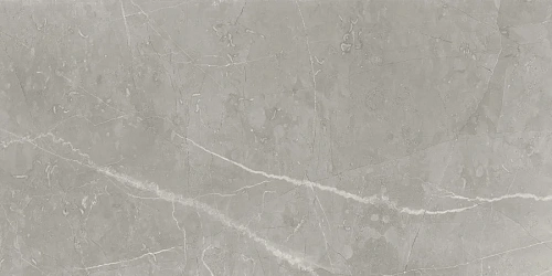 Керамогранит Neodom Supreme Fior Di Bosco Polished 60x120 N70005 Керамогранит Neodom Supreme Fior Di Bosco Polished 60x120 N70005