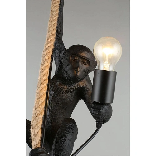 Светильник подвесной Aployt Magali APL.309.16.01 Светильник подвесной Aployt Magali APL.309.16.01