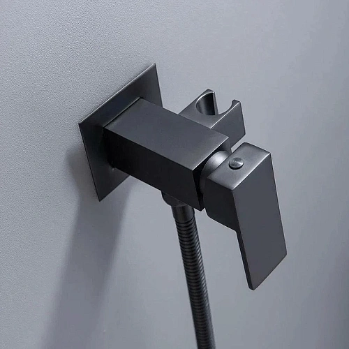 Гигиенический душ BOCH MANN RESIA BM10413 B CK-P11B из латуни, с шлангом 120 см, черный Гигиенический душ BOCH MANN RESIA BM10413 B CK-P11B из латуни, с шлангом 120 см, черный