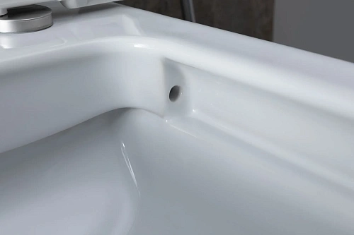 Чаша напольного унитаза Allen Brau Infinity 4.21012.20 с крышкой, белый глянец Чаша напольного унитаза Allen Brau Infinity 4.21012.20 с крышкой, белый глянец