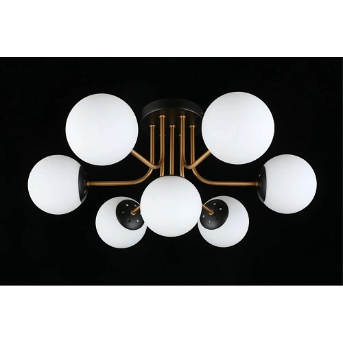 Люстра потолочная Aployt Ewka APL.906.17.07 Люстра потолочная Aployt Ewka APL.906.17.07