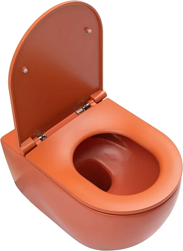 Унитаз подвесной Allen Brau Reality 4.32015.TE сиденье с микролифт терракот Унитаз подвесной Allen Brau Reality 4.32015.TE сиденье с микролифт терракот